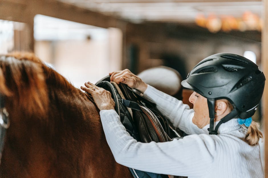  Reiten lernen in wie vielen Stunden möglich