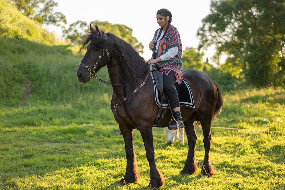 Lernzeit für Reiten