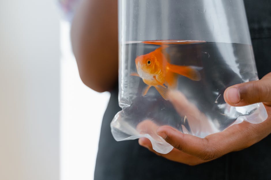  alt-Kinder brauchen Zeit um Schwimmen zu lernen